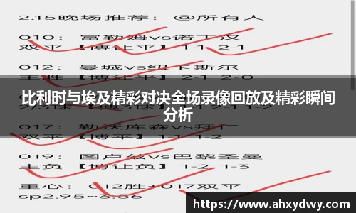 比利时与埃及精彩对决全场录像回放及精彩瞬间分析